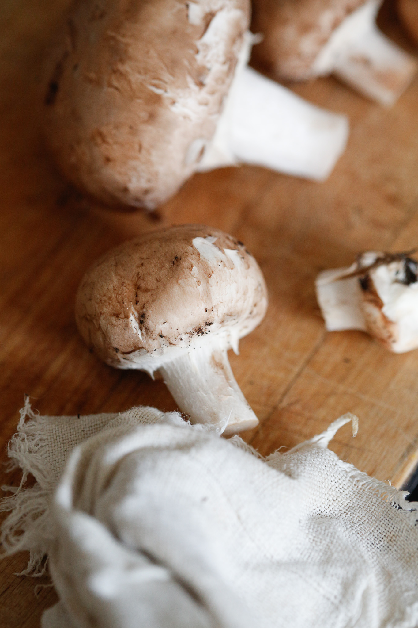After cutting the bottom of the mushroom off, use a dry towel or soft brush, brush off any dirt on your mushroom caps
