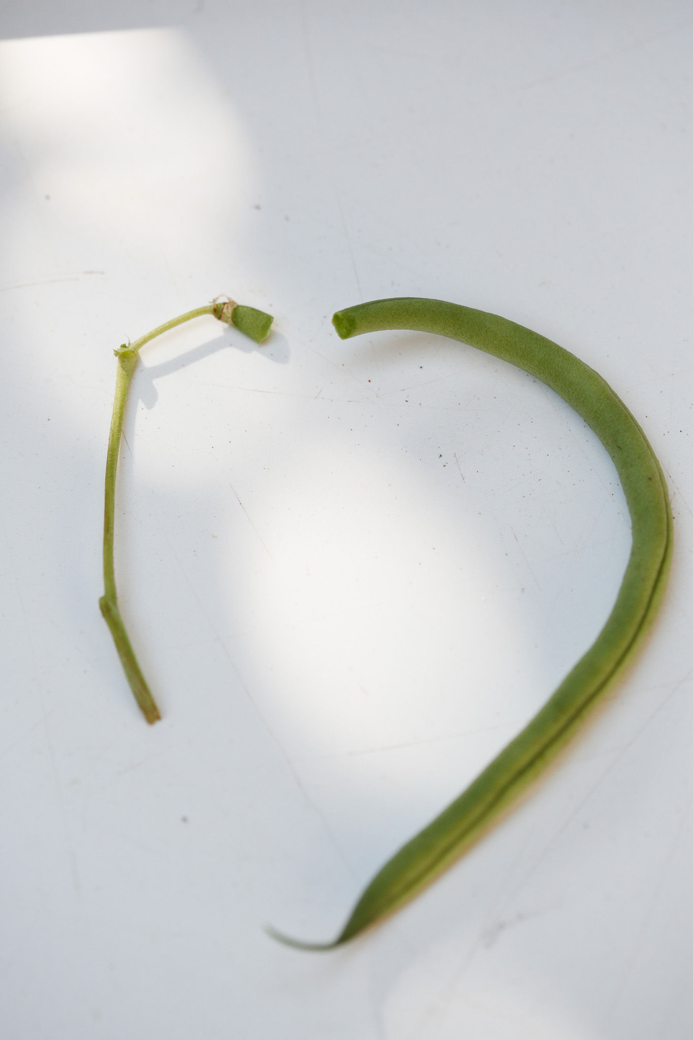My daughter was not able yet to take off the tops of the green beans so I did. You can bend to break or use a small sharp knife.