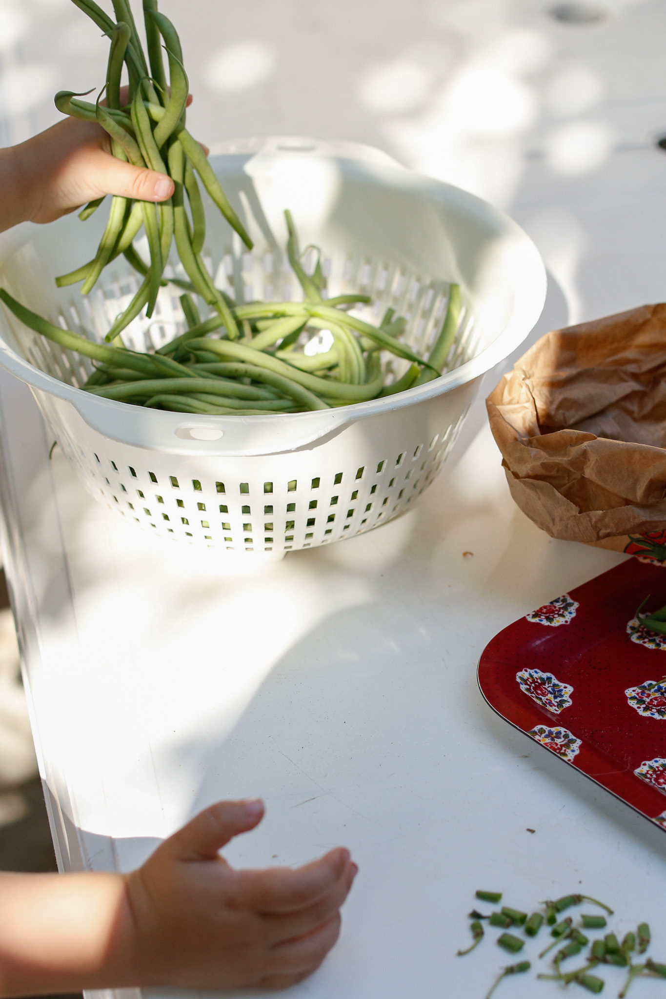 Transferring green beans from the table to the collander