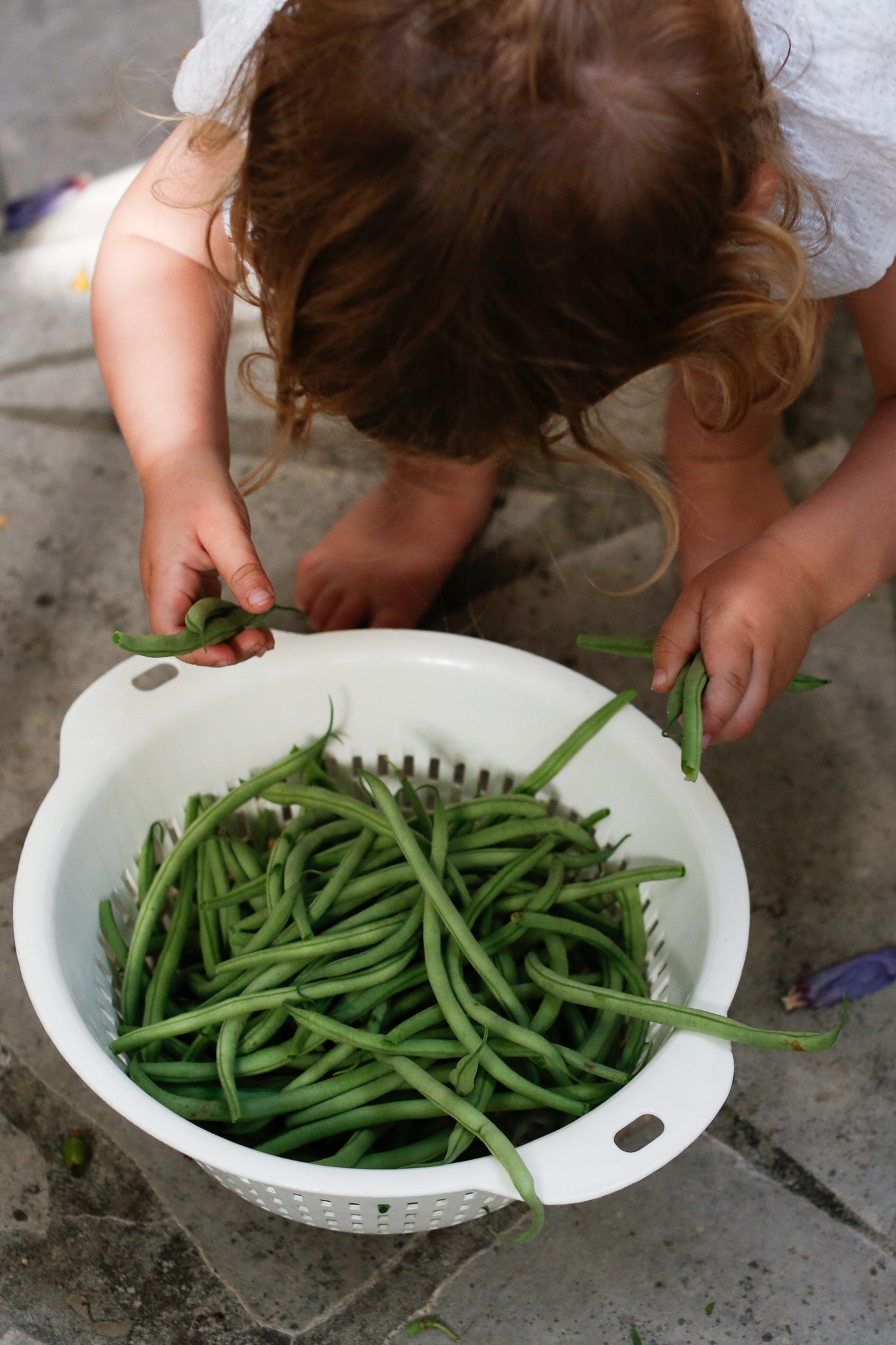 She dropped some along the way and had to stop, put down the collander and put the beans back in.