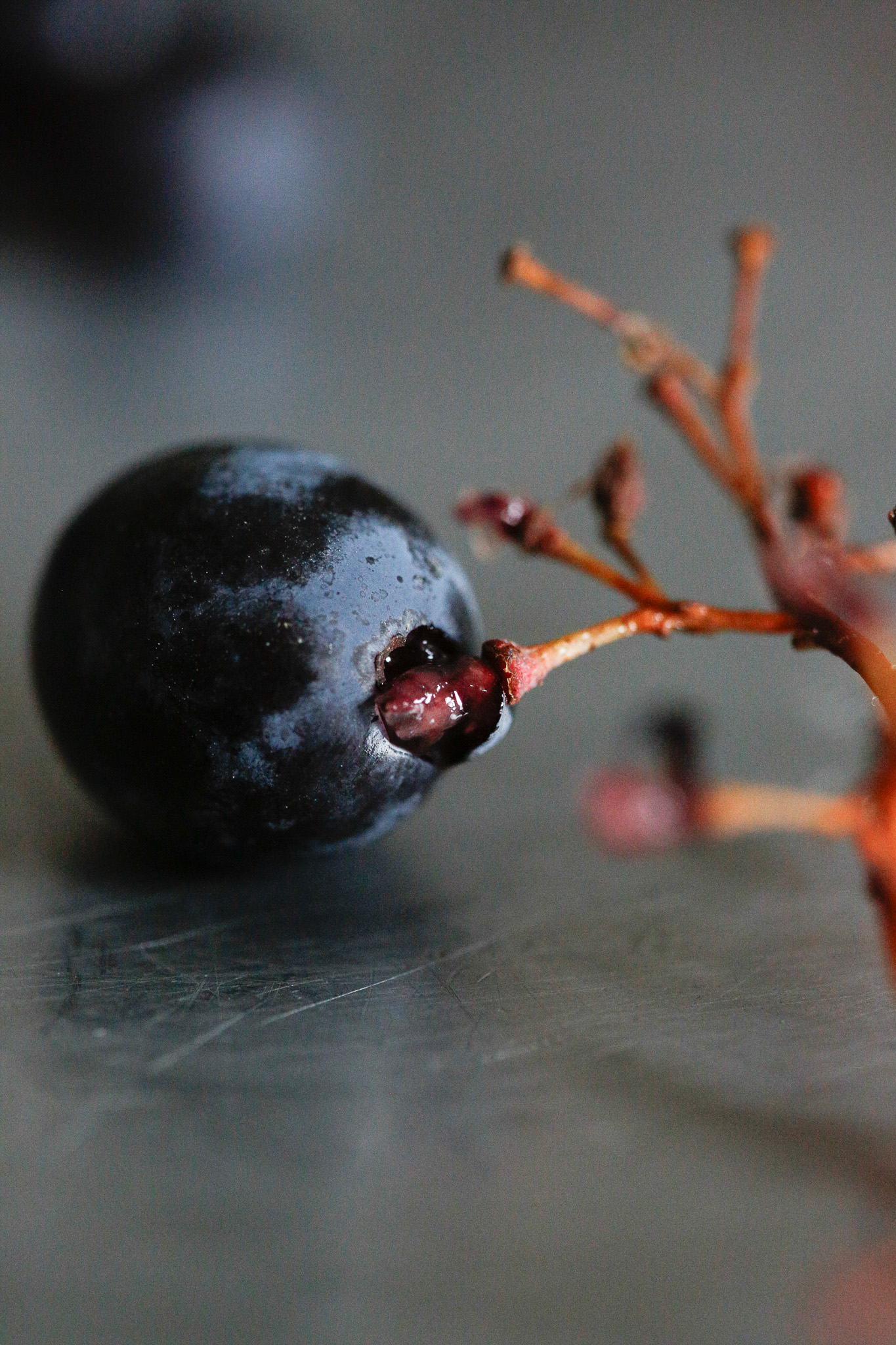 Start by destemming your grapes. My goal is to work slowly to simultaneously extract the seed (which are bitter.) I find this step to be extremely satisfying and calming.
